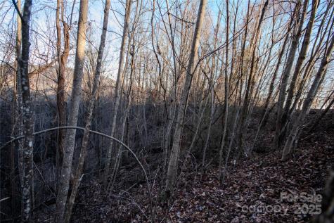 Lot# 22 Autumn Ridge Lenoir NC 28645