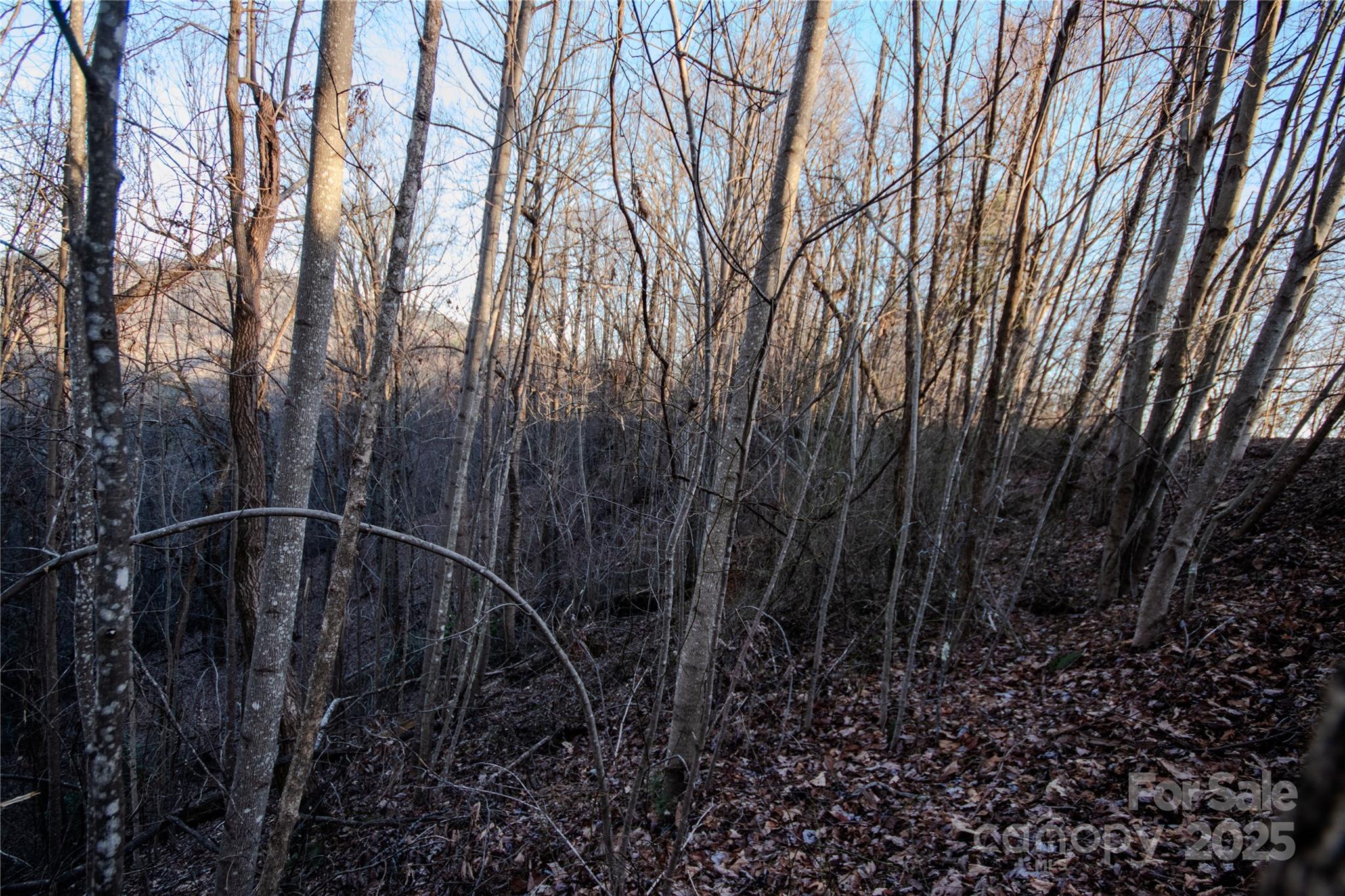 Lot# 22 Autumn Ridge Lenoir NC 28645