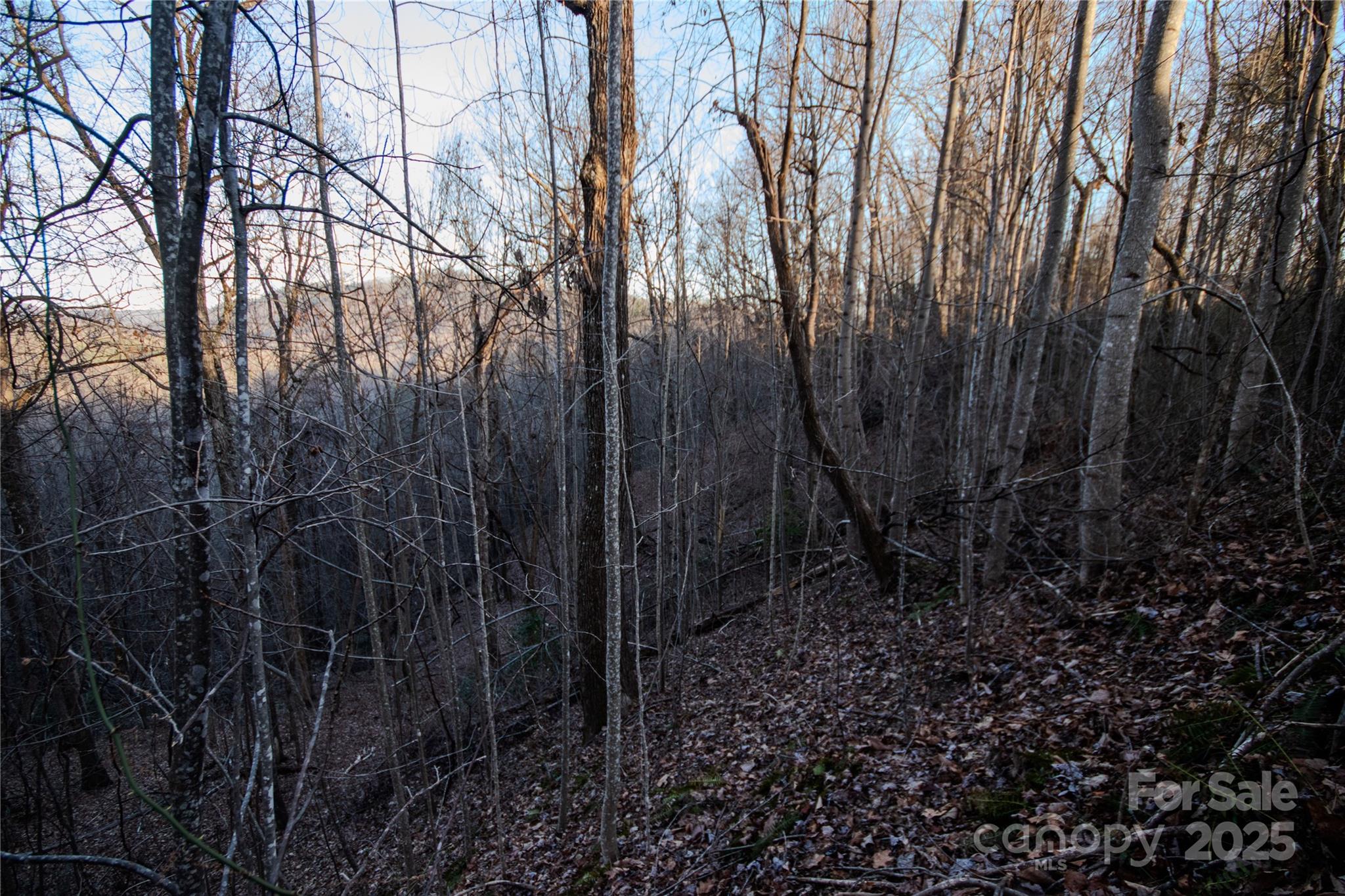 Lot# 22 Autumn Ridge Lenoir NC 28645