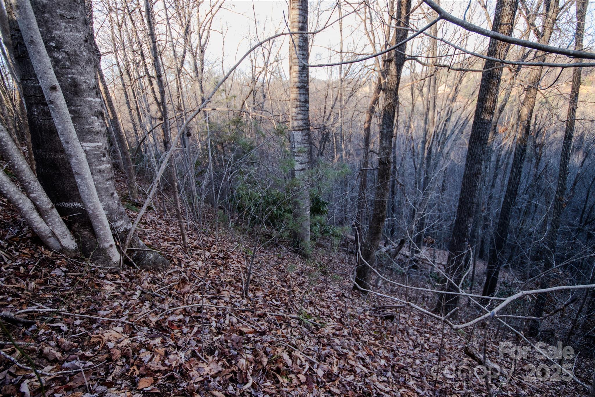Lot# 22 Autumn Ridge Lenoir NC 28645
