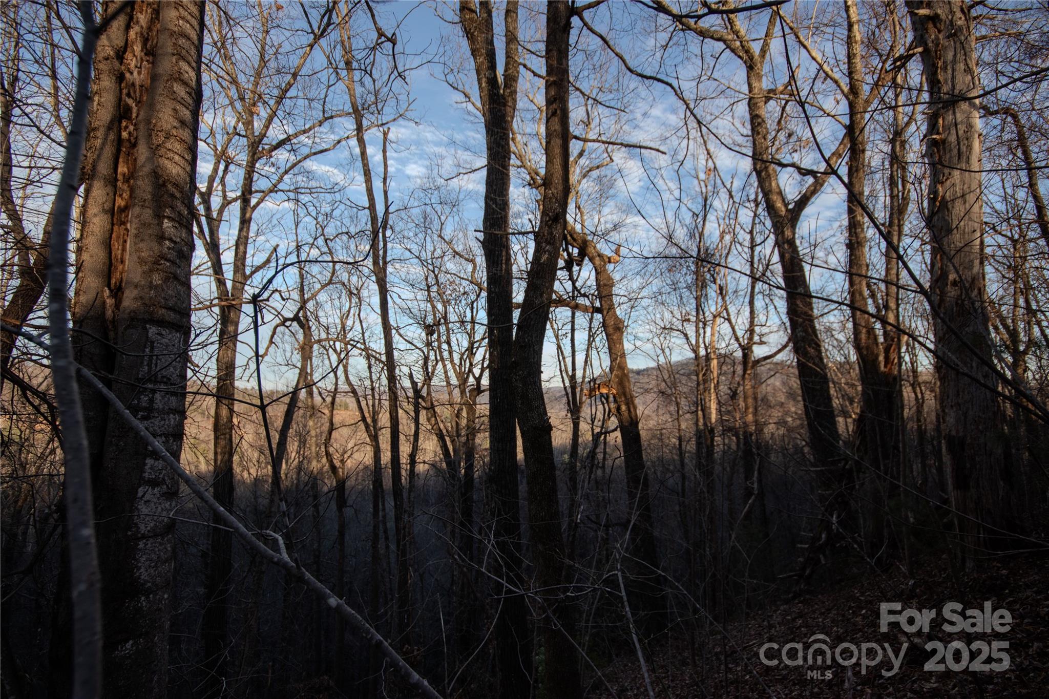 Lot# 22 Autumn Ridge Lenoir NC 28645