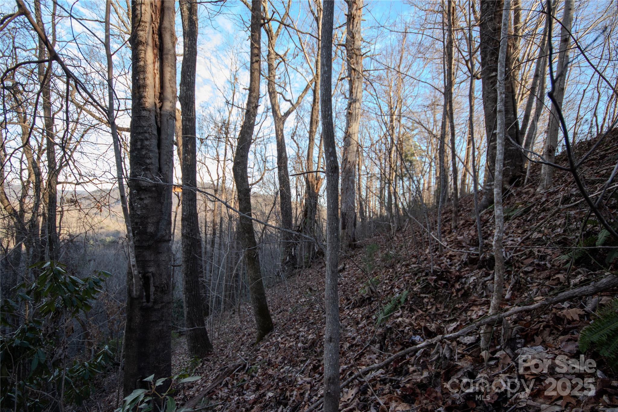 Lot# 22 Autumn Ridge Lenoir NC 28645