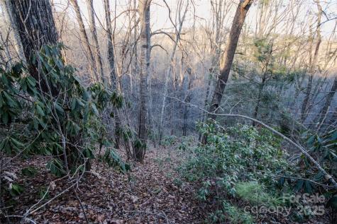 Lot# 22 Autumn Ridge Lenoir NC 28645
