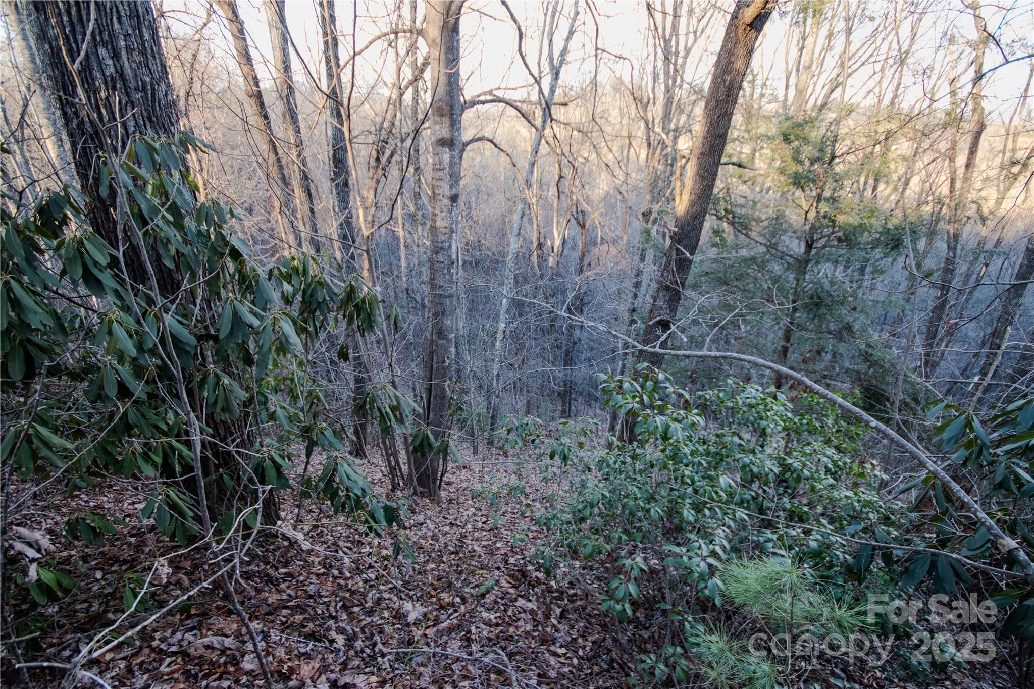 Lot# 22 Autumn Ridge Lenoir NC 28645