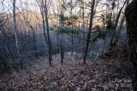 Lot# 22 Autumn Ridge Lenoir NC 28645