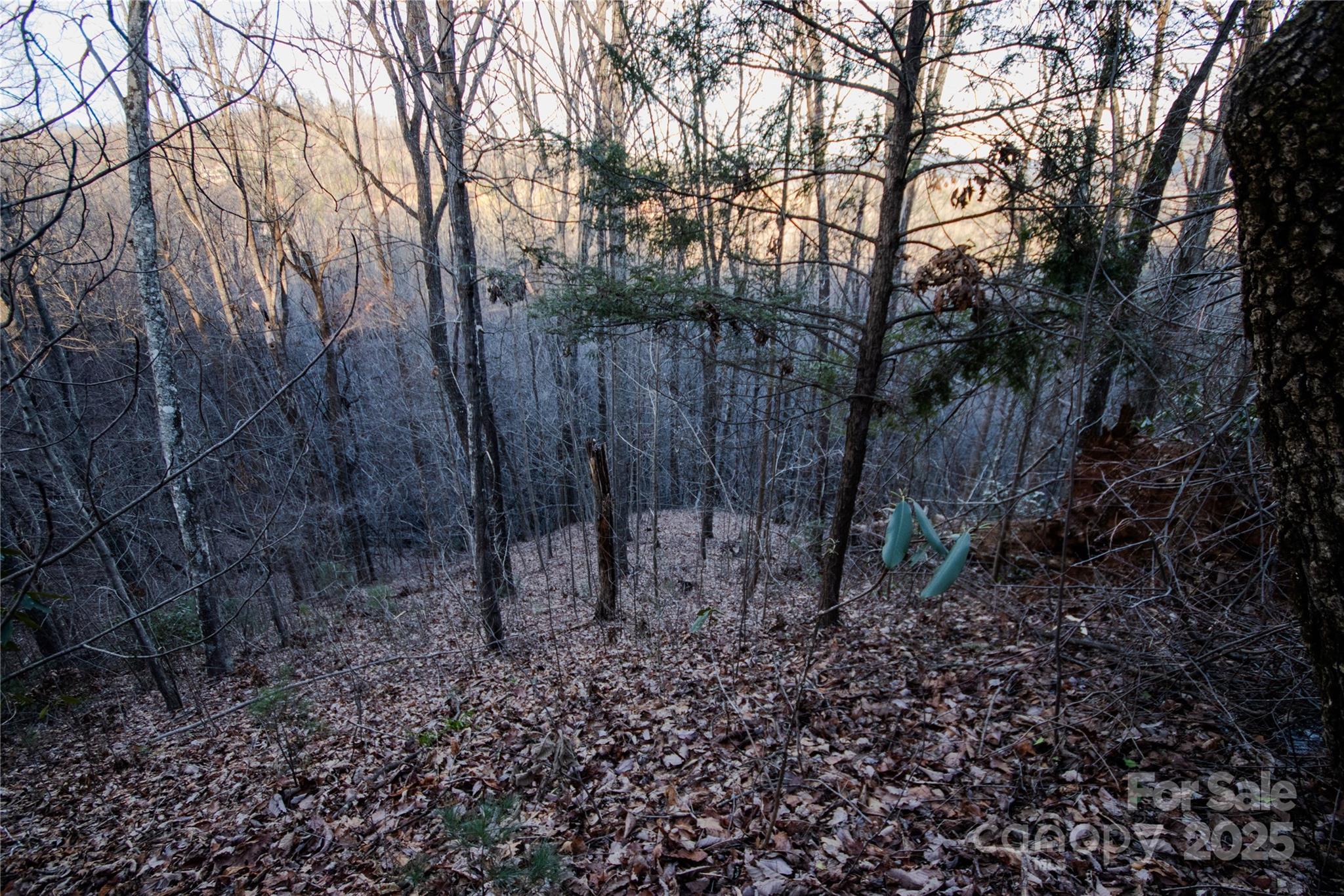 Lot# 22 Autumn Ridge Lenoir NC 28645