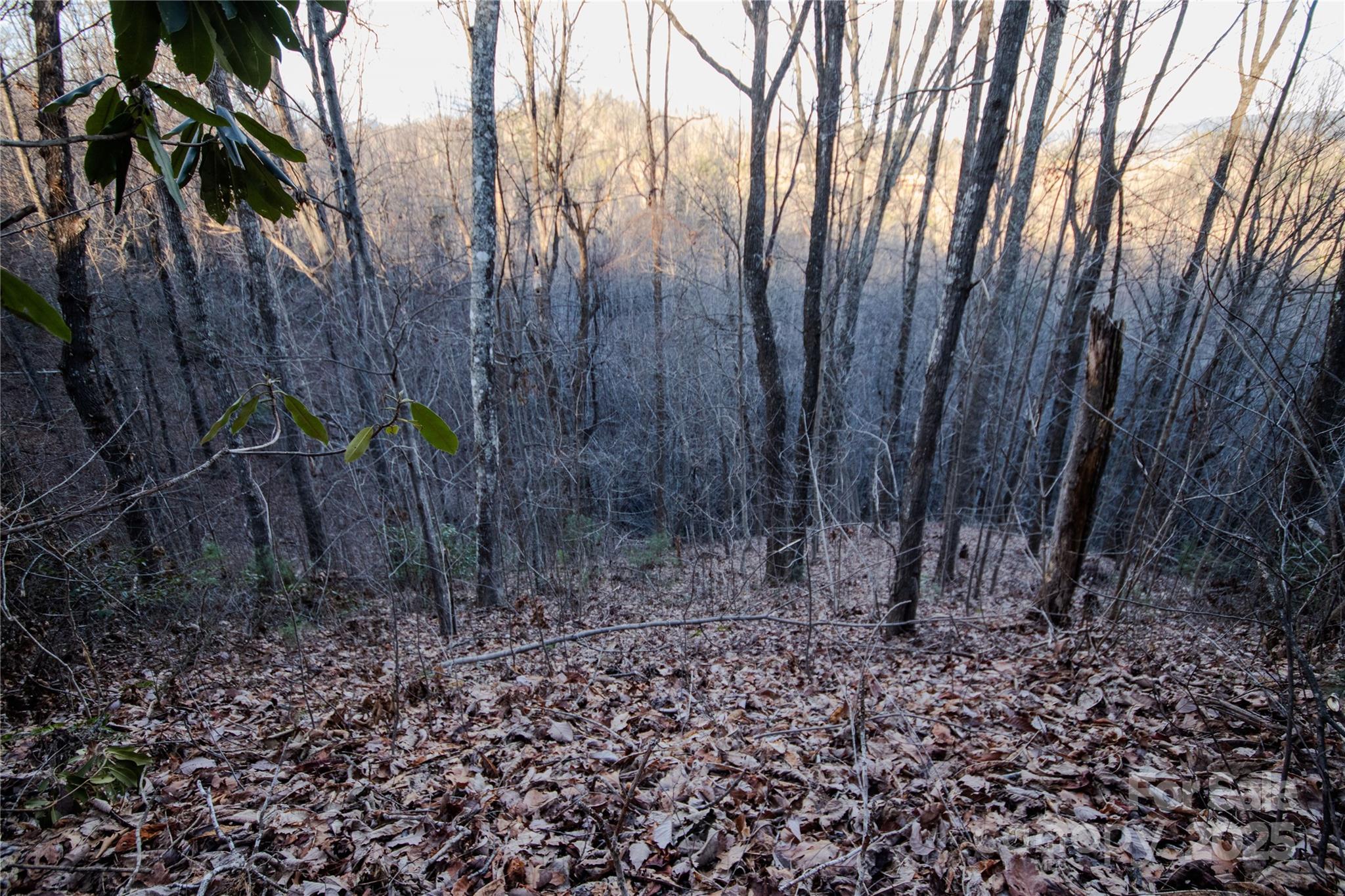 Lot# 22 Autumn Ridge Lenoir NC 28645