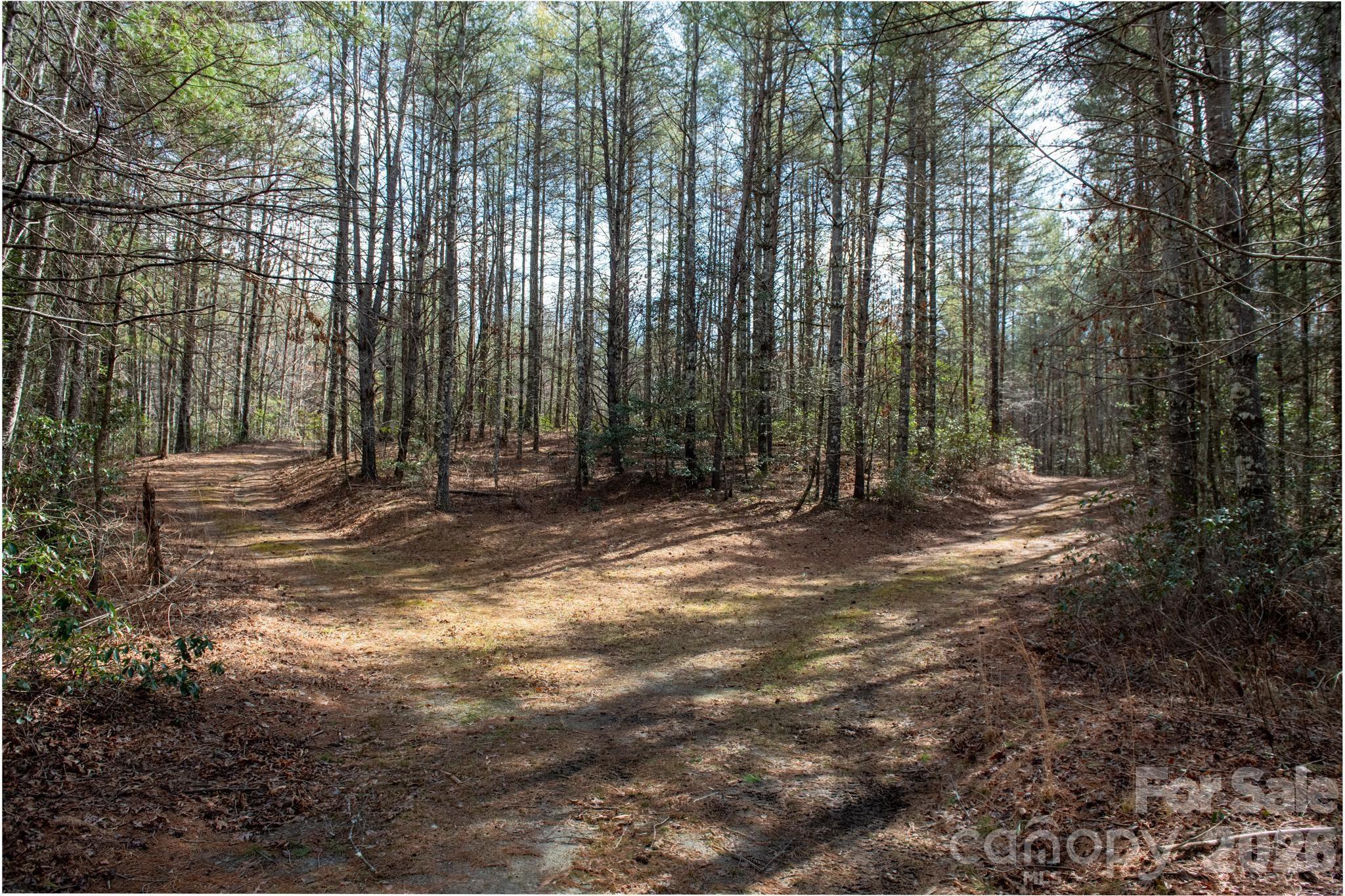 5515 Narrow Guage Drive Collettsville NC 28611