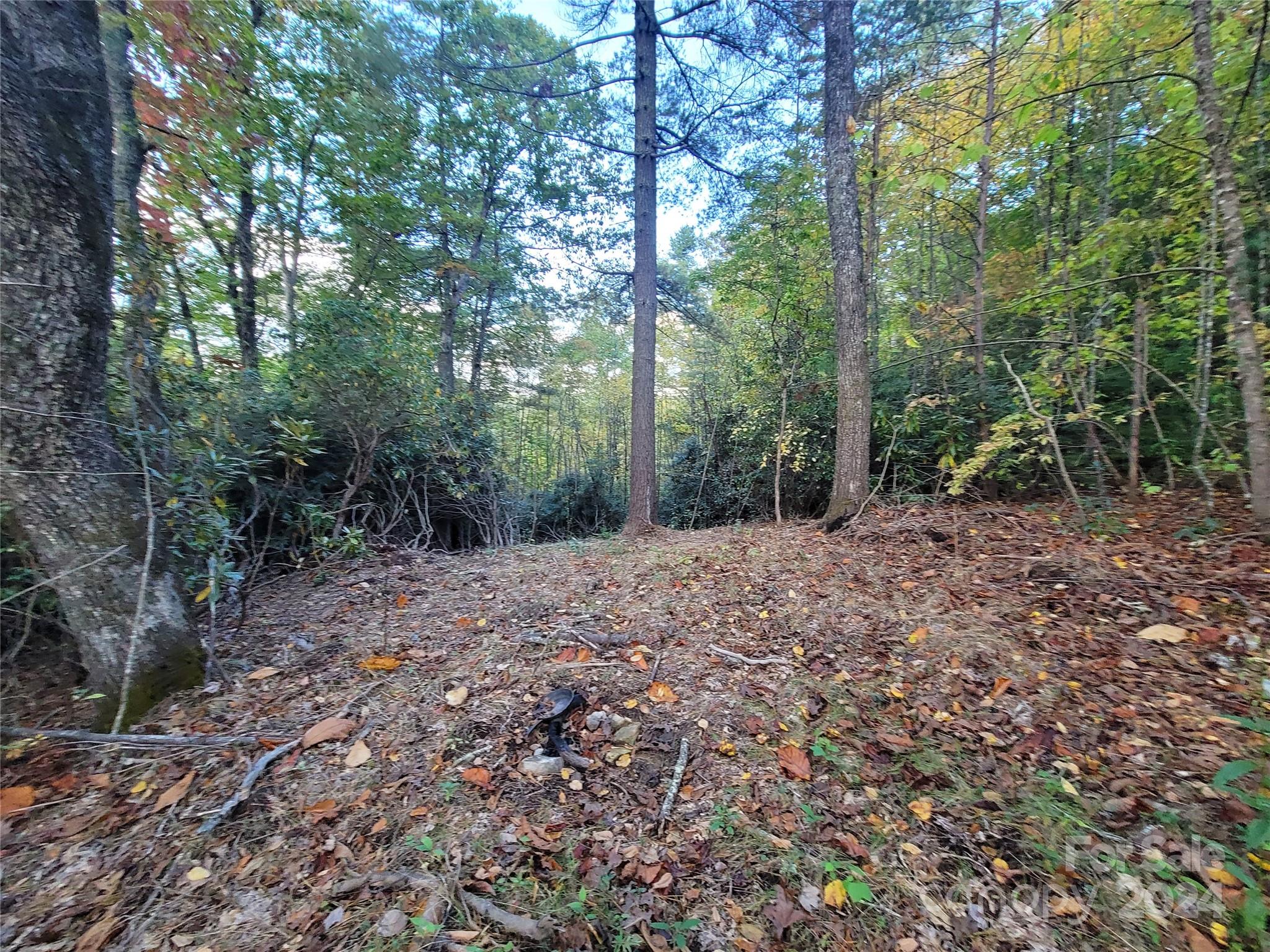 0 Big Hungry Road Flat Rock NC 28731