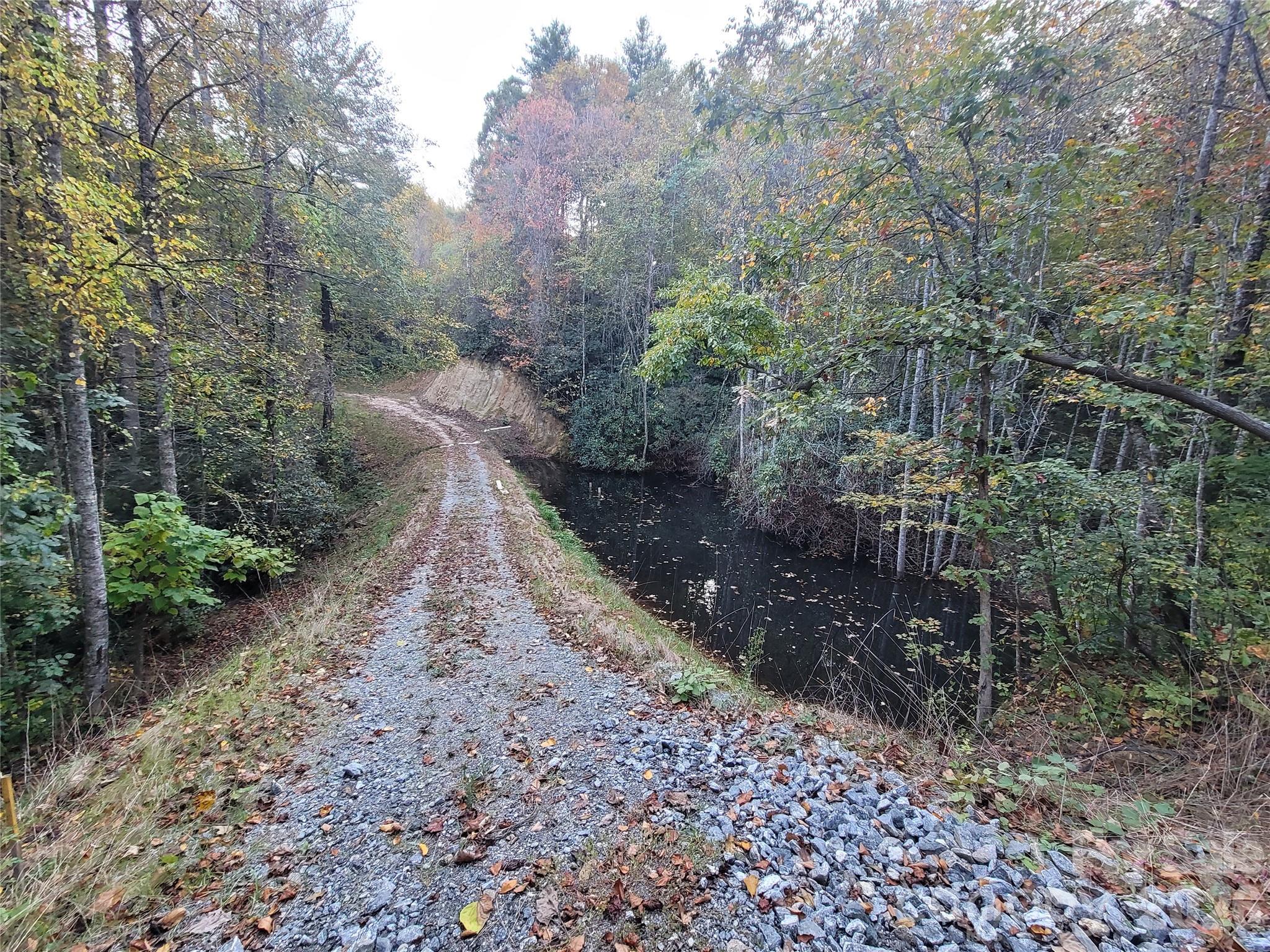 0 Big Hungry Road Flat Rock NC 28731