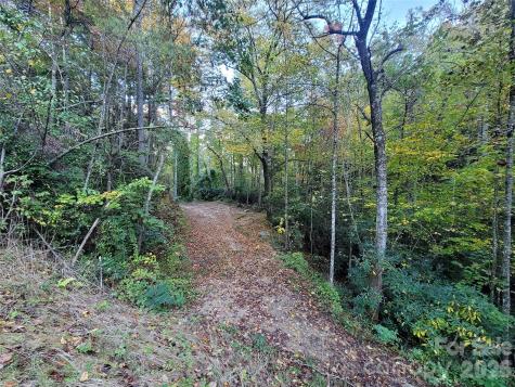 0 Big Hungry Road Flat Rock NC 28731