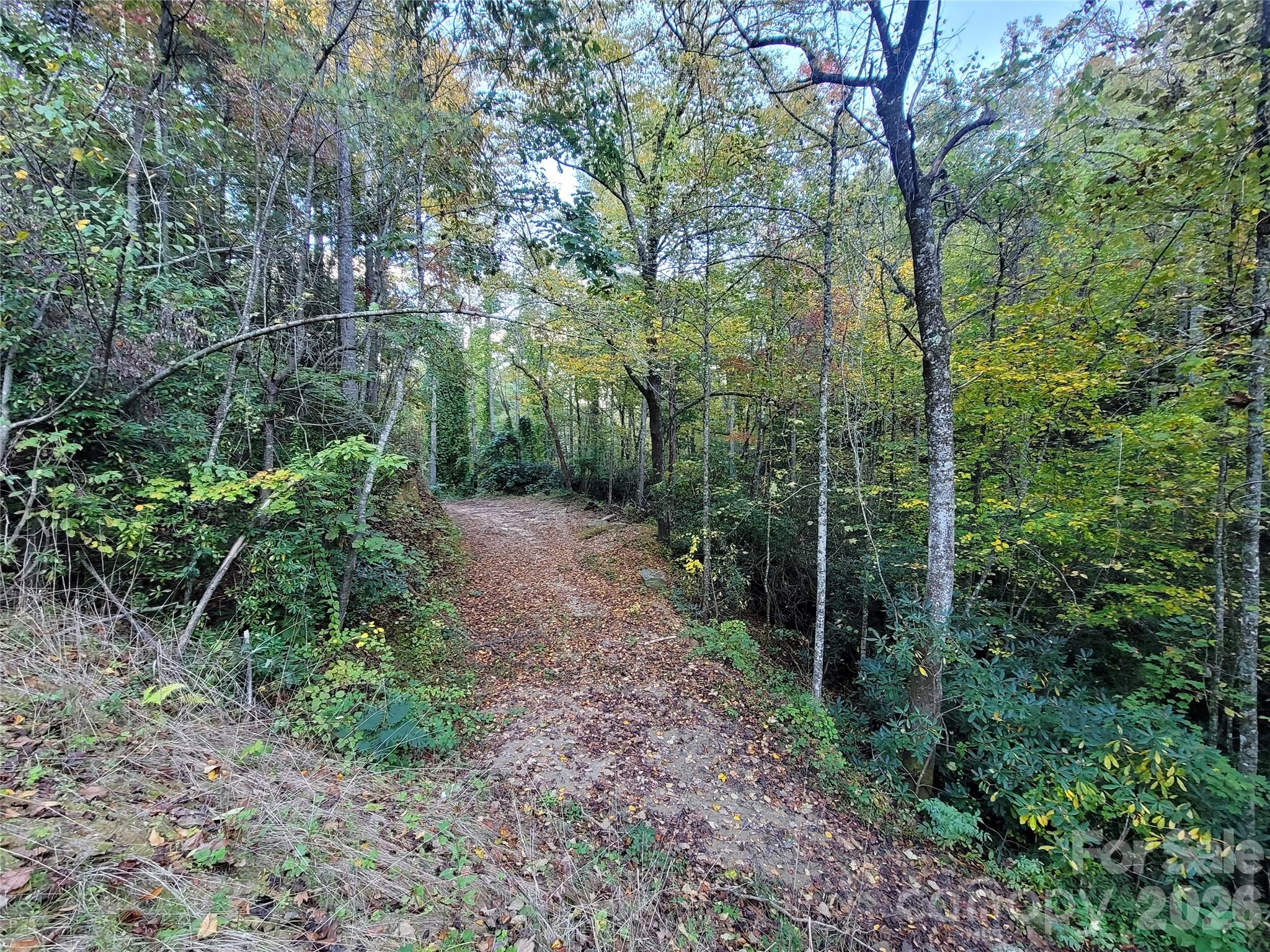 0 Big Hungry Road Flat Rock NC 28731