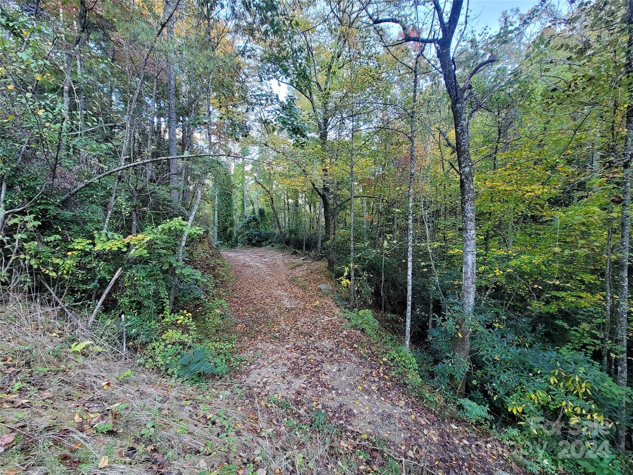 0 Big Hungry Road Flat Rock NC 28731