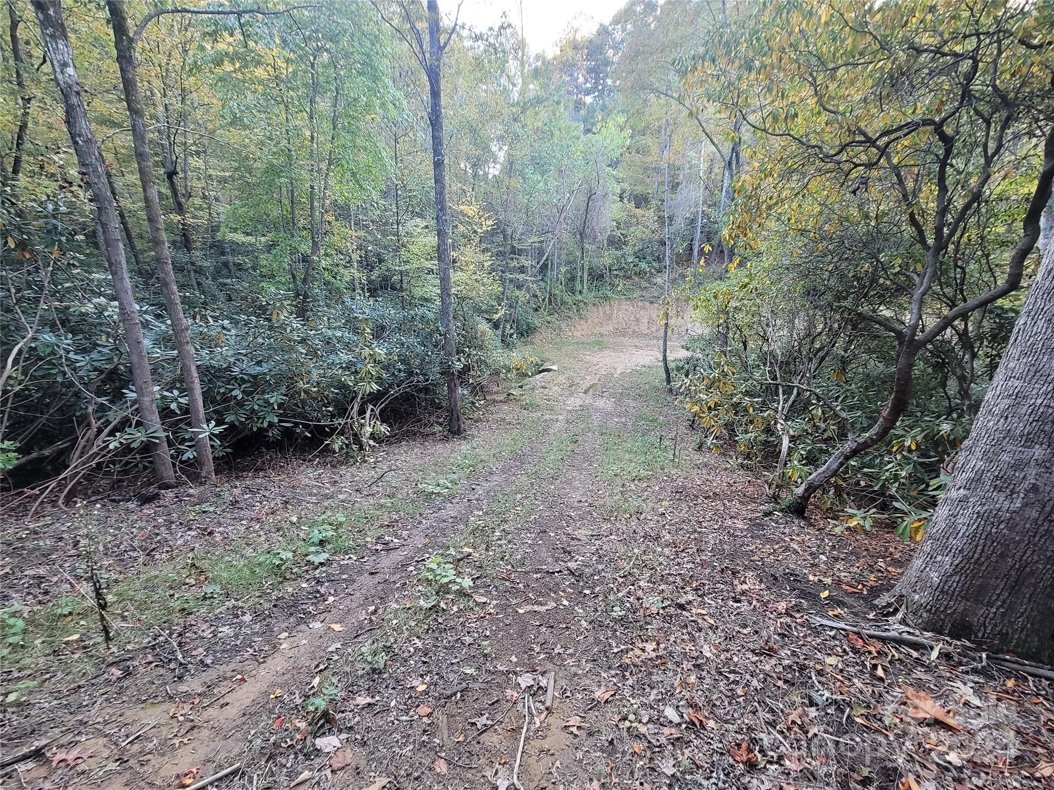 0 Big Hungry Road Flat Rock NC 28731