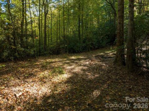 0 Big Hungry Road Flat Rock NC 28731