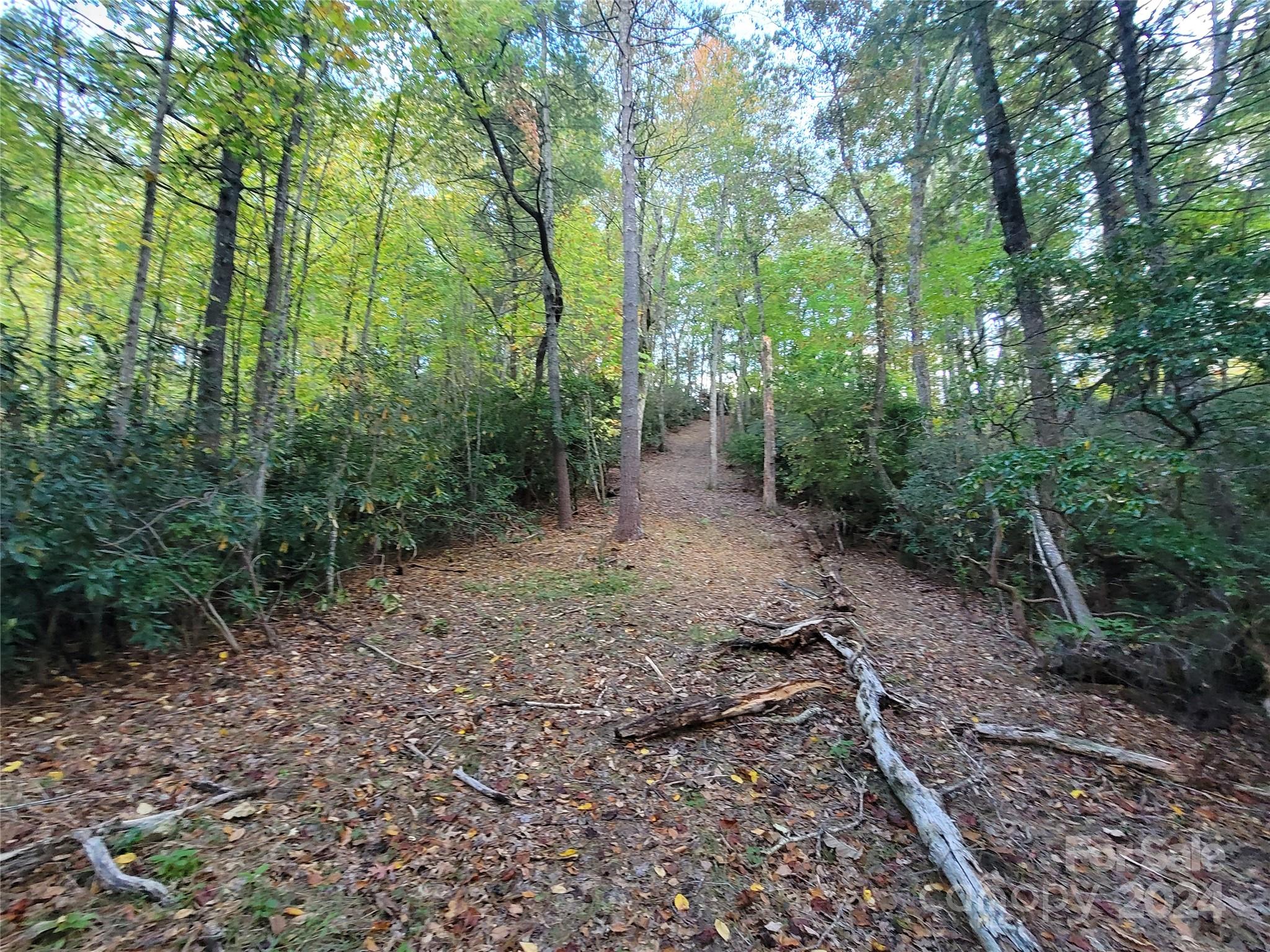 0 Big Hungry Road Flat Rock NC 28731