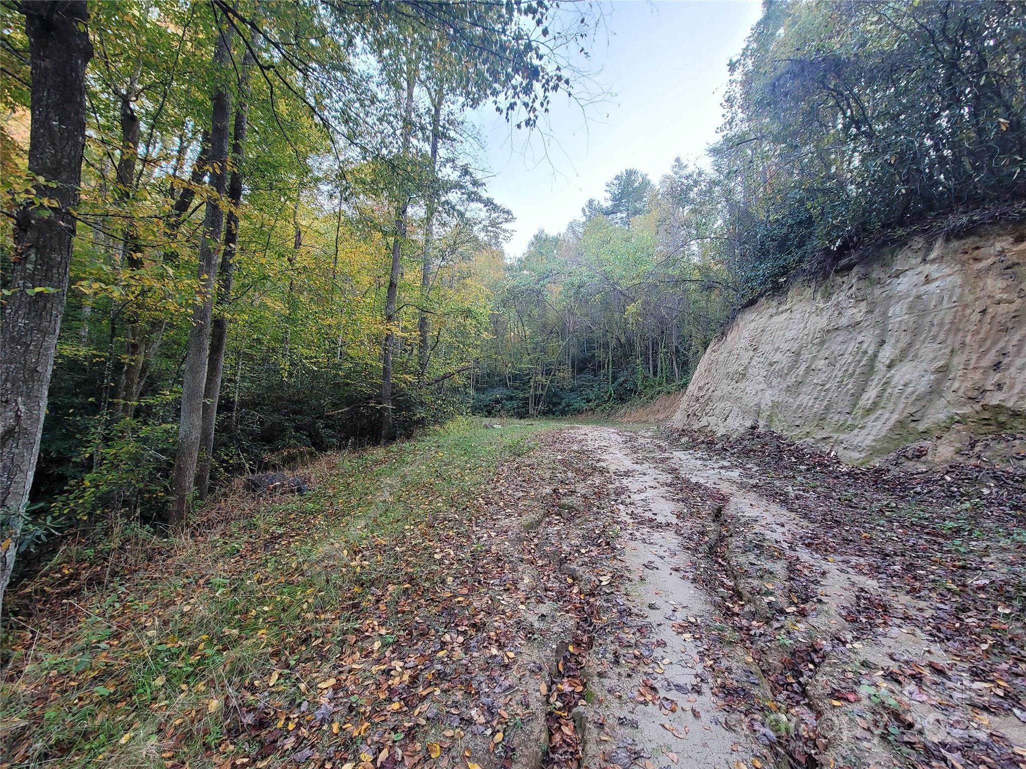 0 Big Hungry Road Flat Rock NC 28731