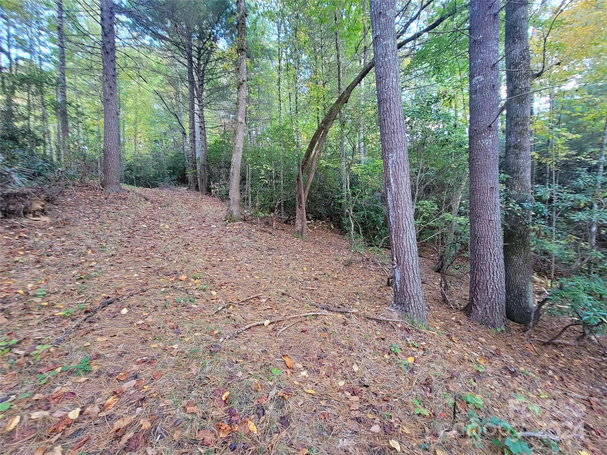 0 Big Hungry Road Flat Rock NC 28731