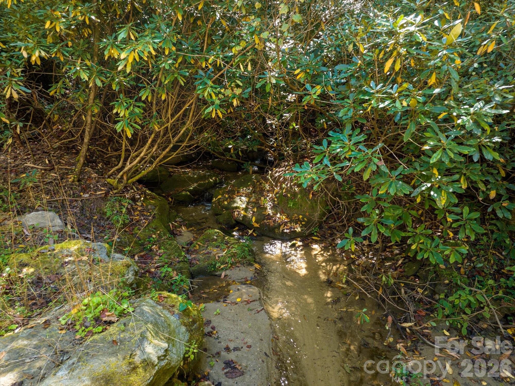 0 Big Hungry Road Flat Rock NC 28731