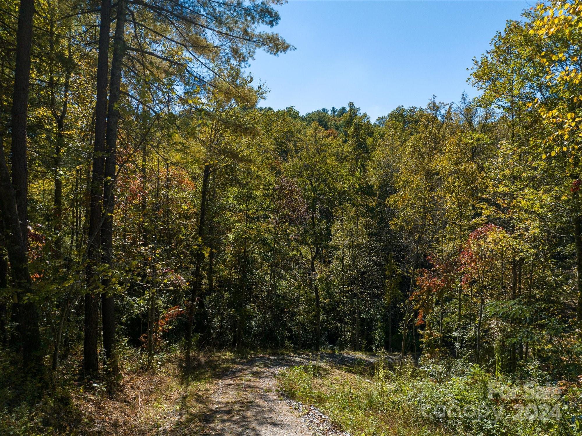 0 Big Hungry Road Flat Rock NC 28731