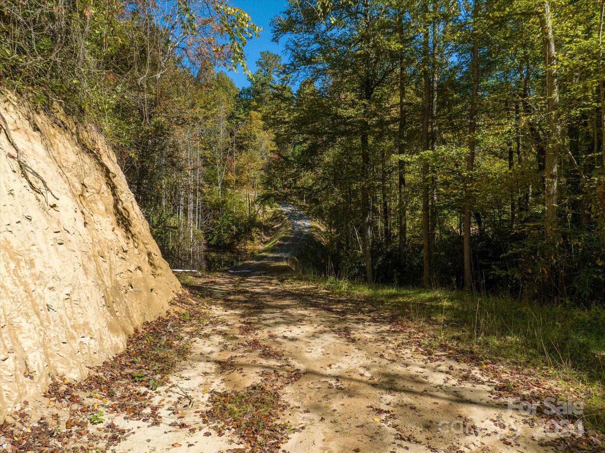 0 Big Hungry Road Flat Rock NC 28731