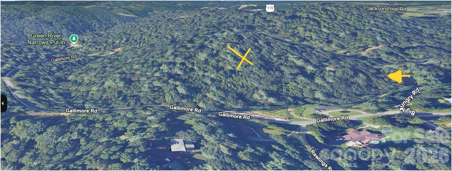 0 Big Hungry Road Flat Rock NC 28731
