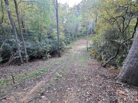 0 Big Hungry Road Flat Rock NC 28731