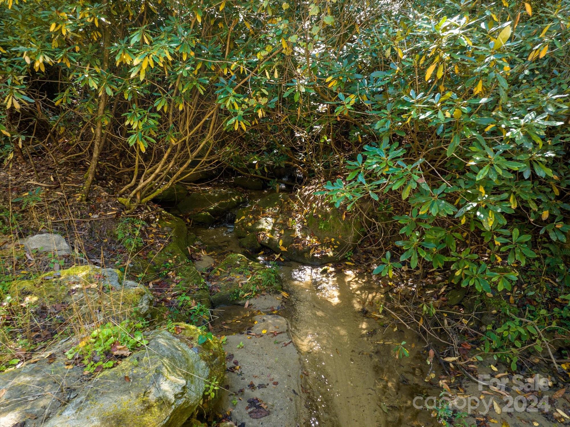 0 Big Hungry Road Flat Rock NC 28731
