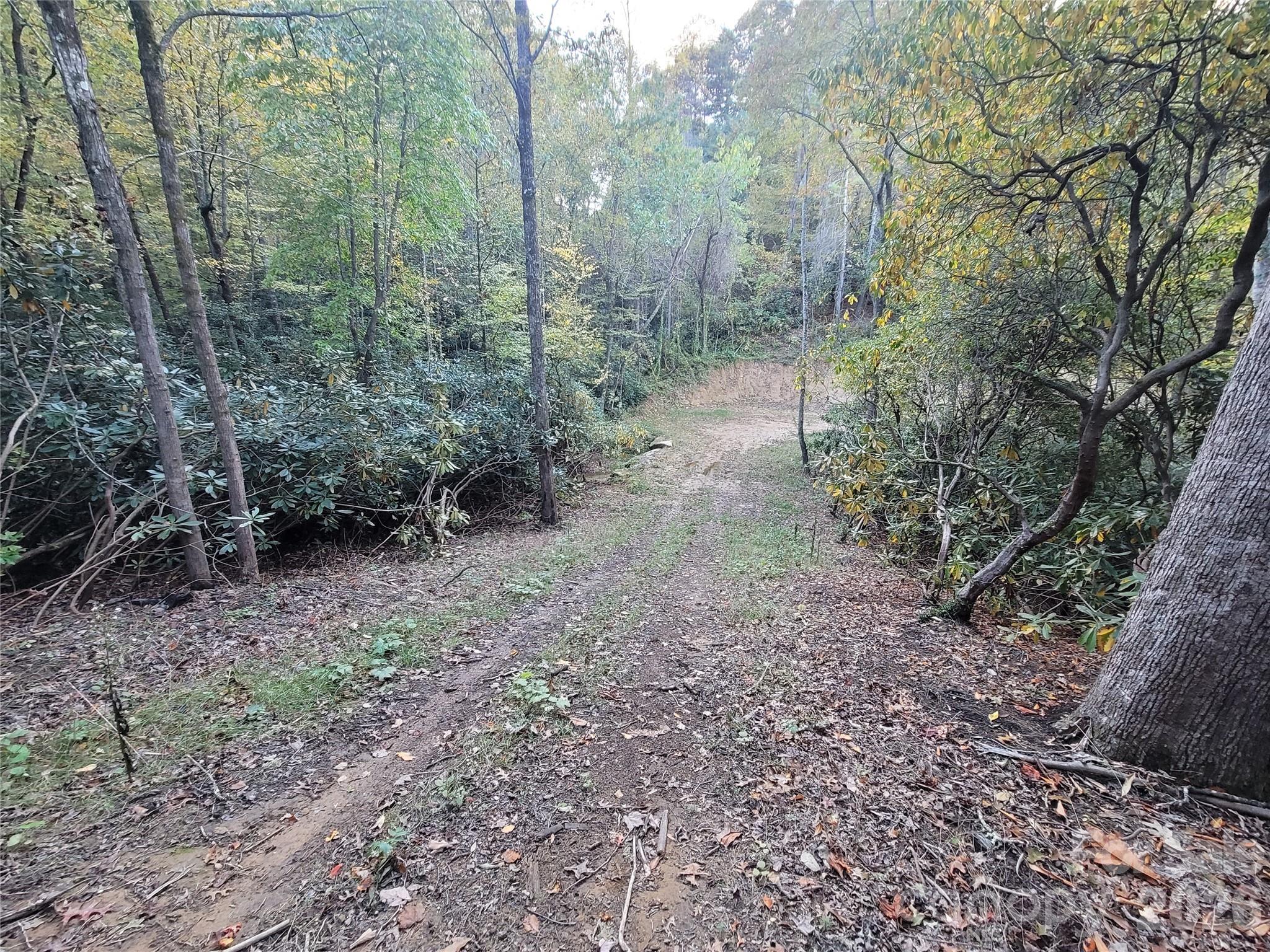 0 Big Hungry Road Flat Rock NC 28731