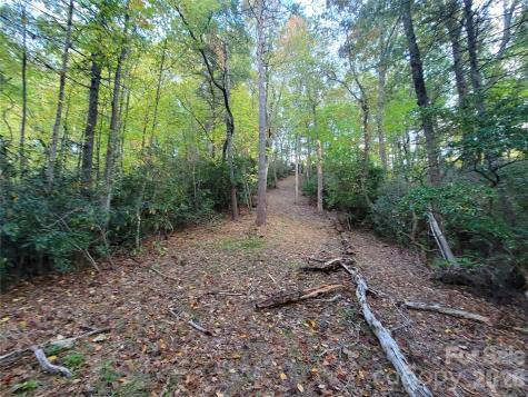 0 Big Hungry Road Flat Rock NC 28731