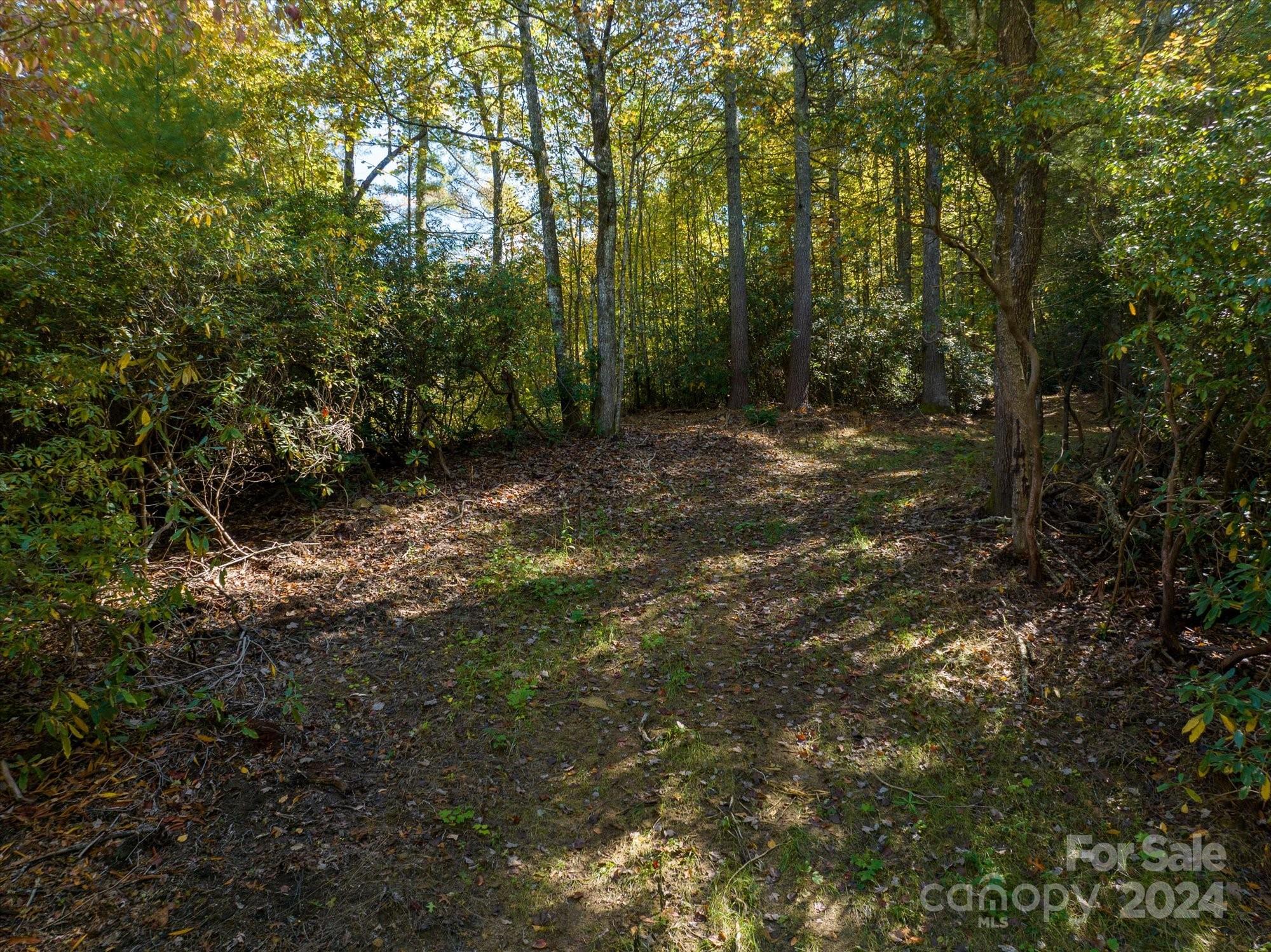 0 Big Hungry Road Flat Rock NC 28731