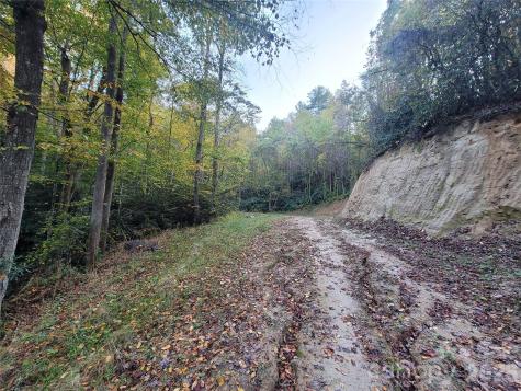 0 Big Hungry Road Flat Rock NC 28731