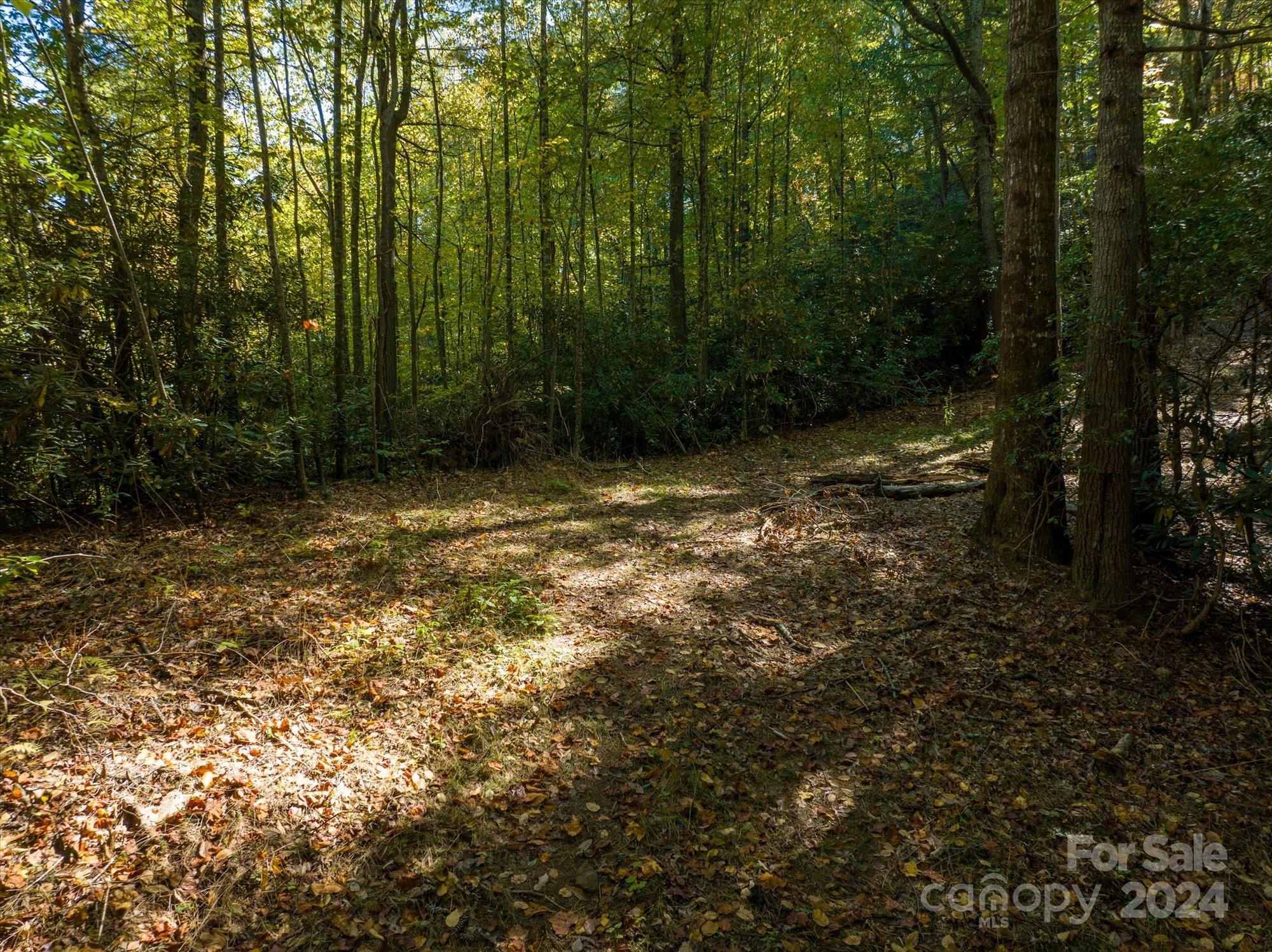 0 Big Hungry Road Flat Rock NC 28731