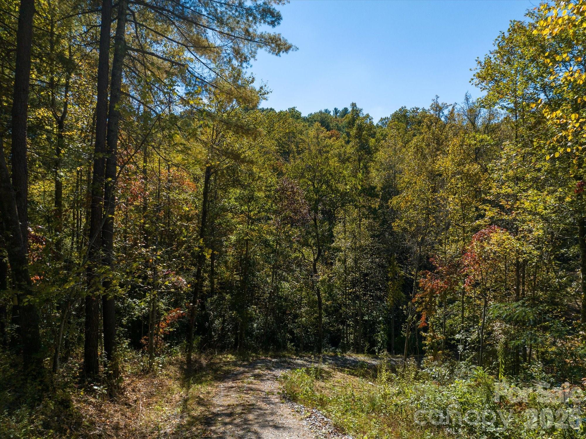 0 Big Hungry Road Flat Rock NC 28731