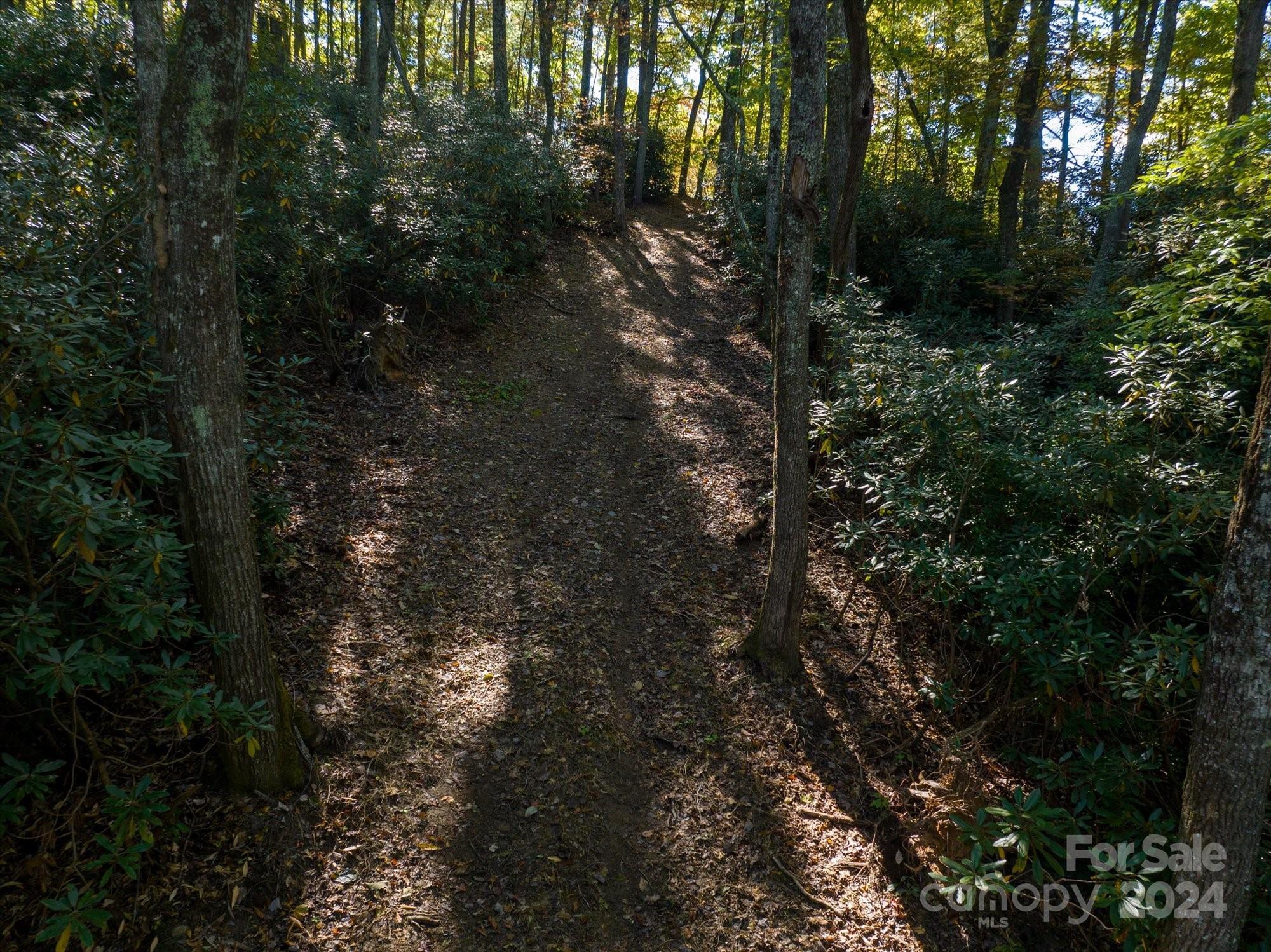 0 Big Hungry Road Flat Rock NC 28731