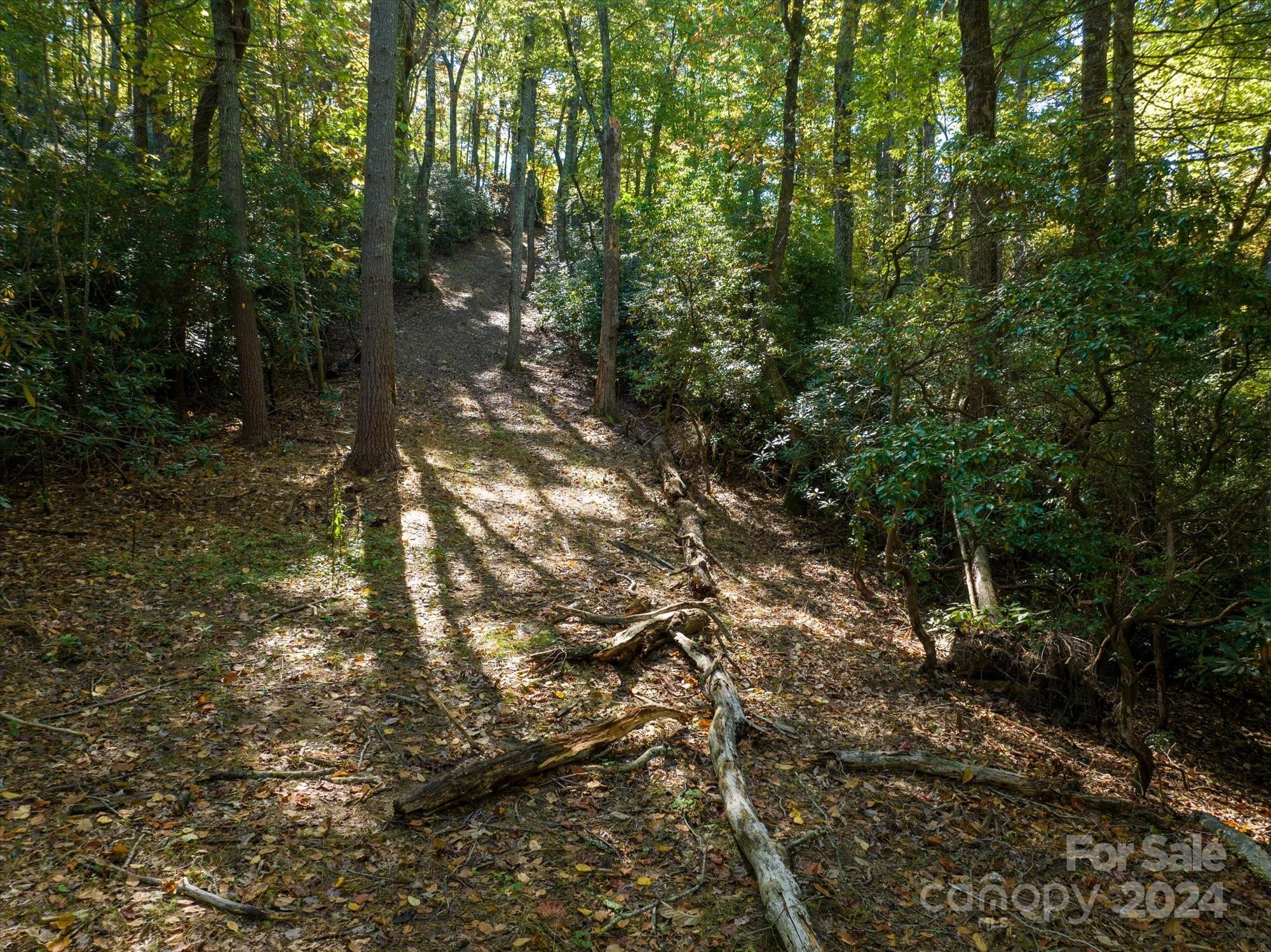 0 Big Hungry Road Flat Rock NC 28731