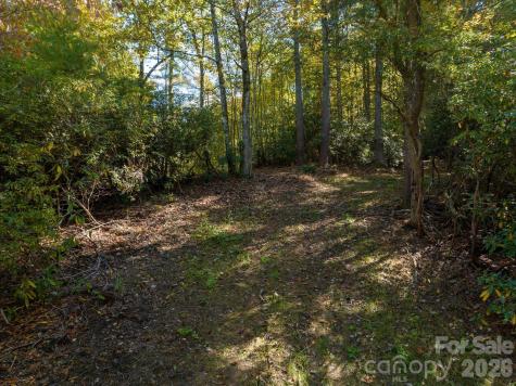 0 Big Hungry Road Flat Rock NC 28731
