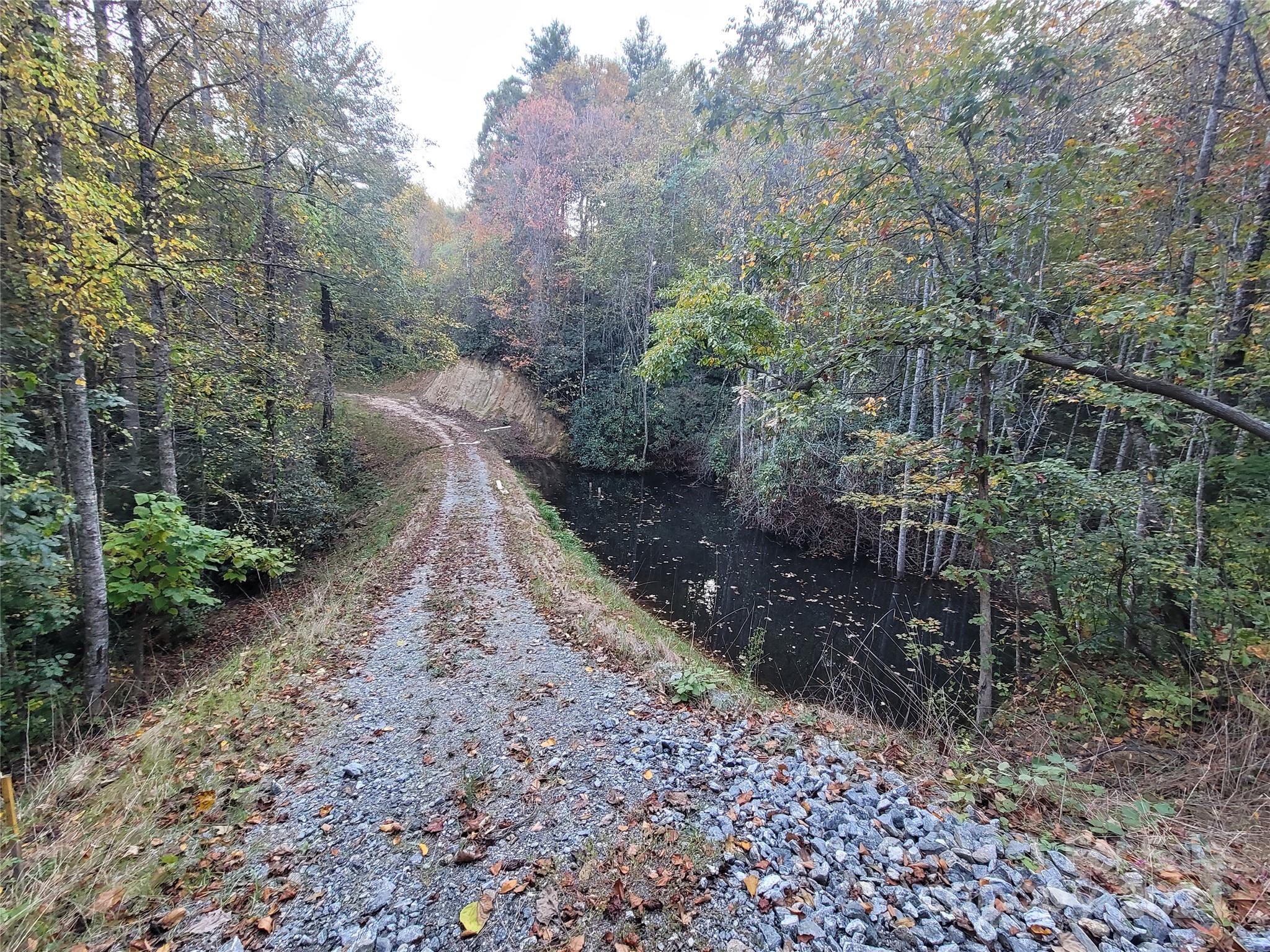 0 Big Hungry Road Flat Rock NC 28731