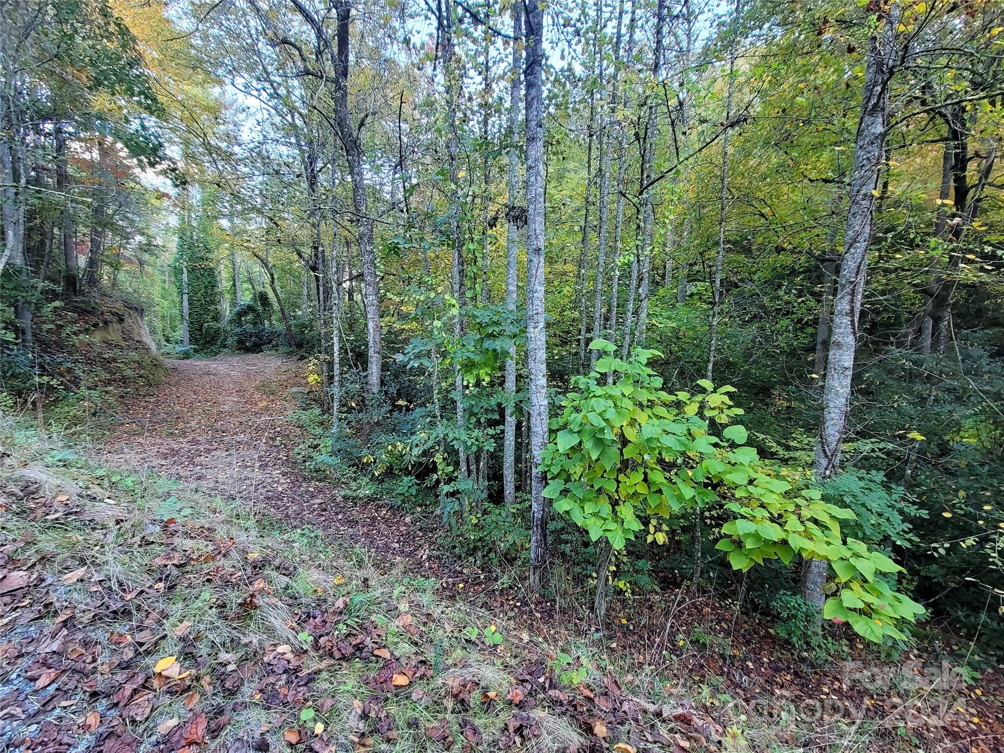 0 Big Hungry Road Flat Rock NC 28731