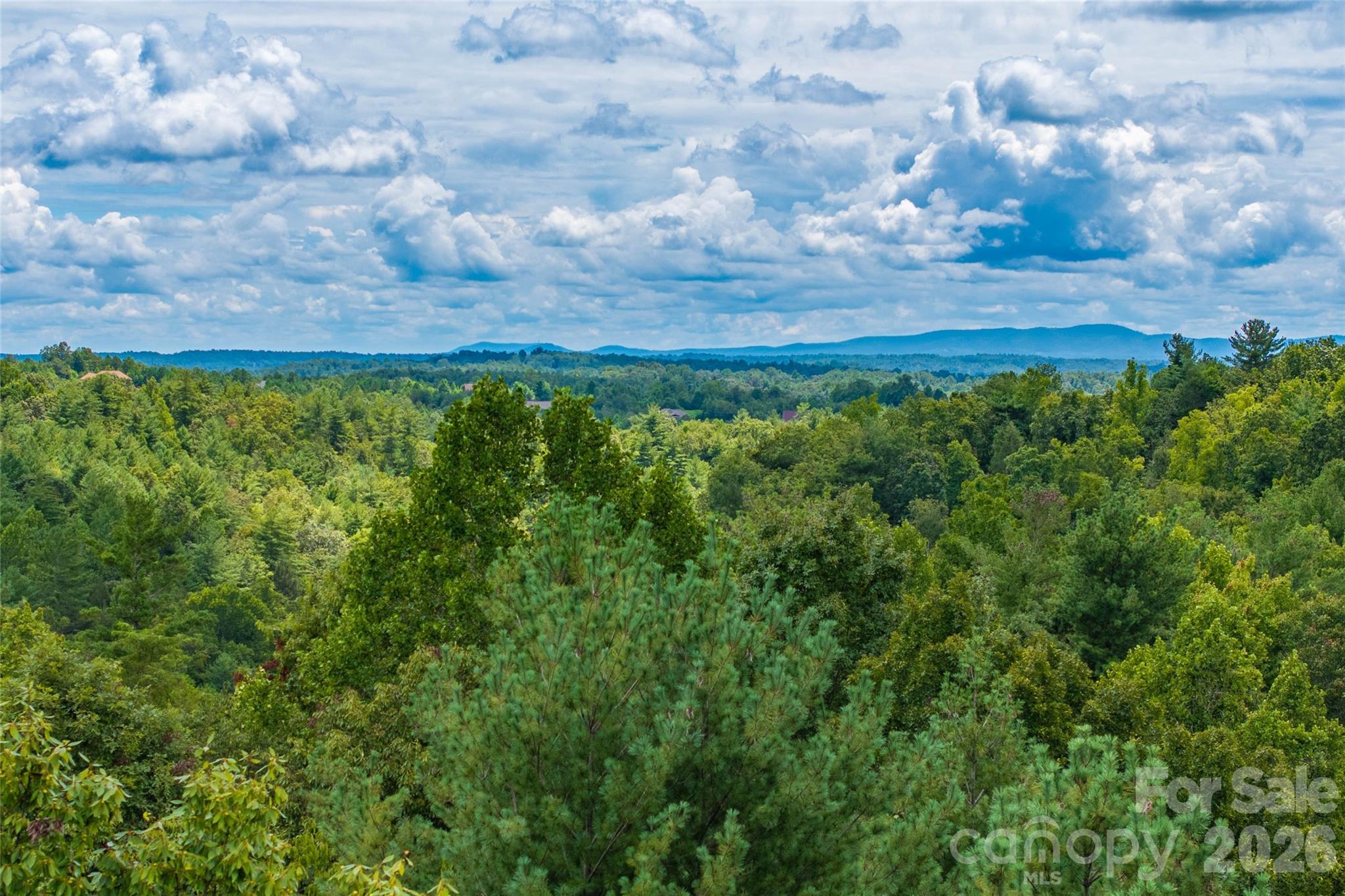5.5 Acres Dogwood Way Lenoir NC 28645