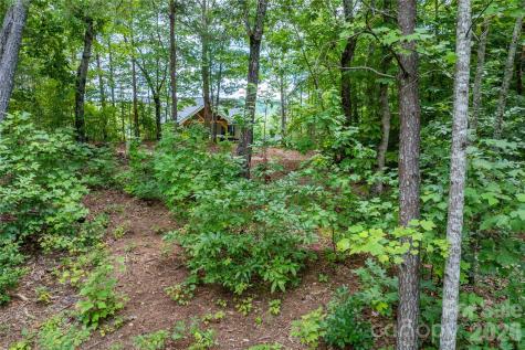 5.5 Acres Dogwood Way Lenoir NC 28645