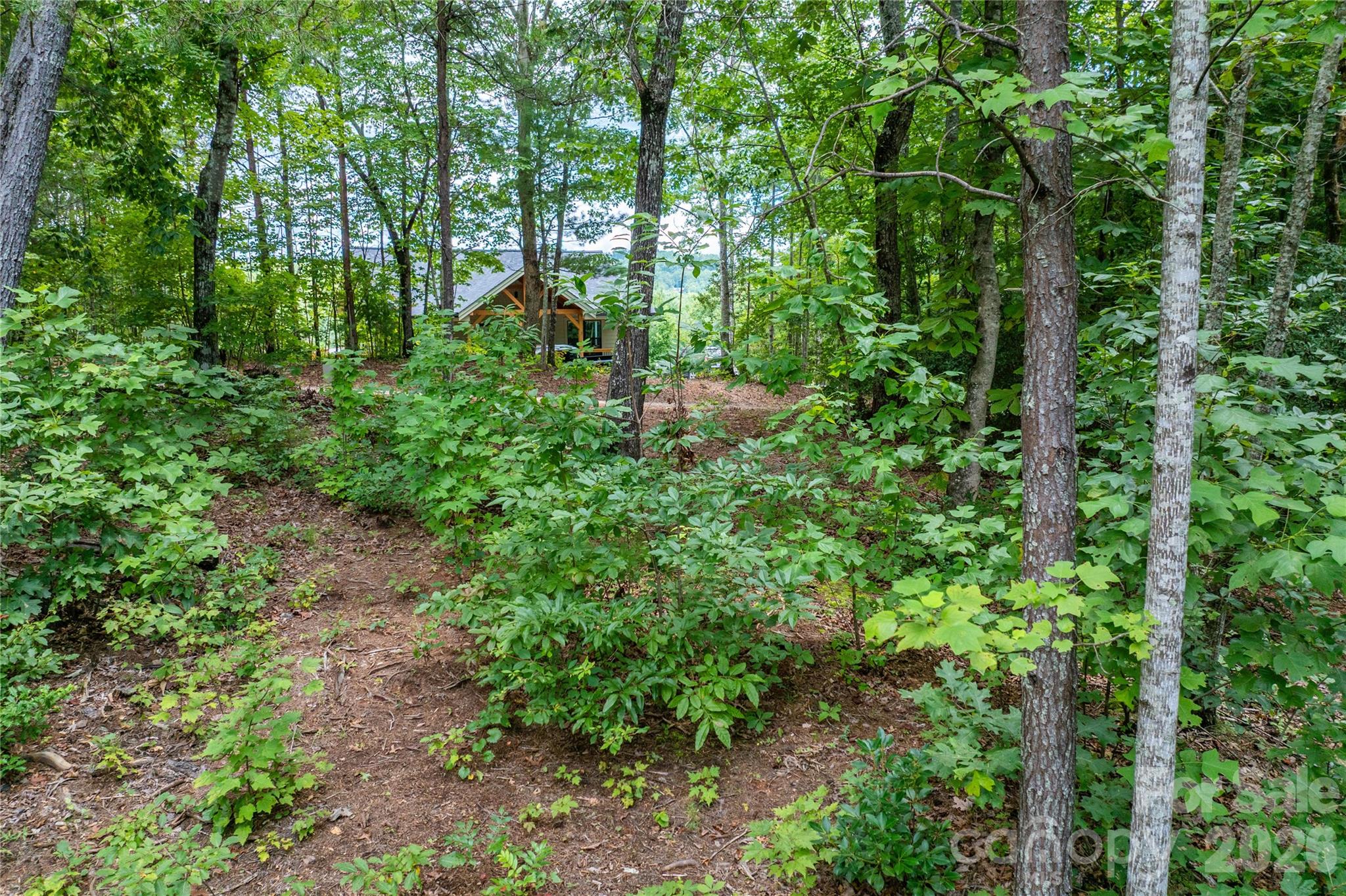 5.5 Acres Dogwood Way Lenoir NC 28645