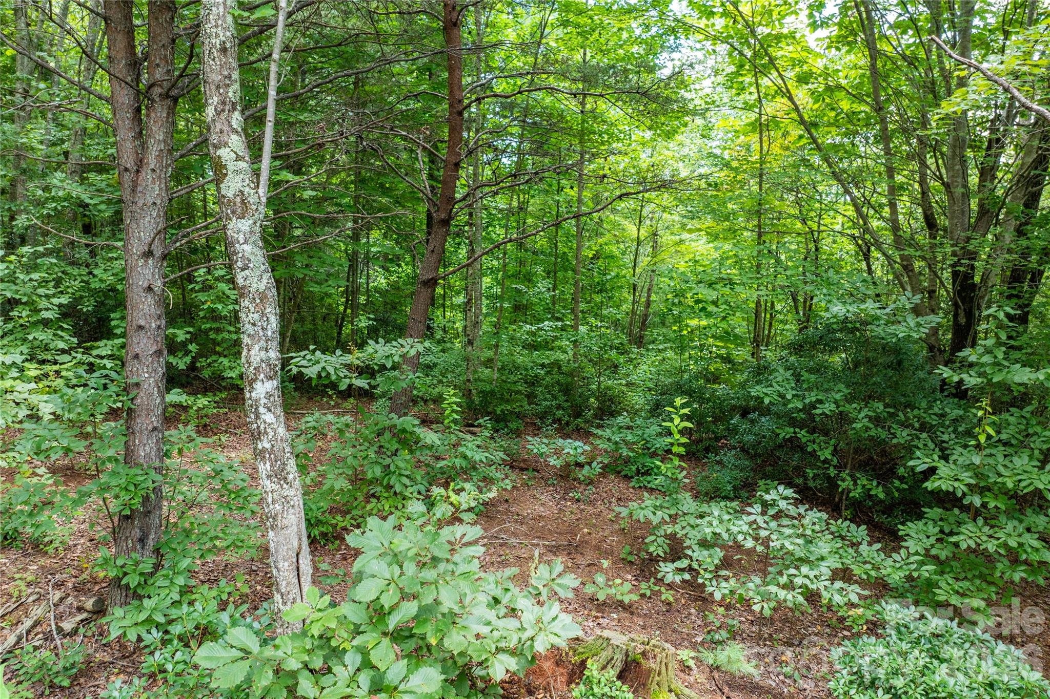5.5 Acres Dogwood Way Lenoir NC 28645