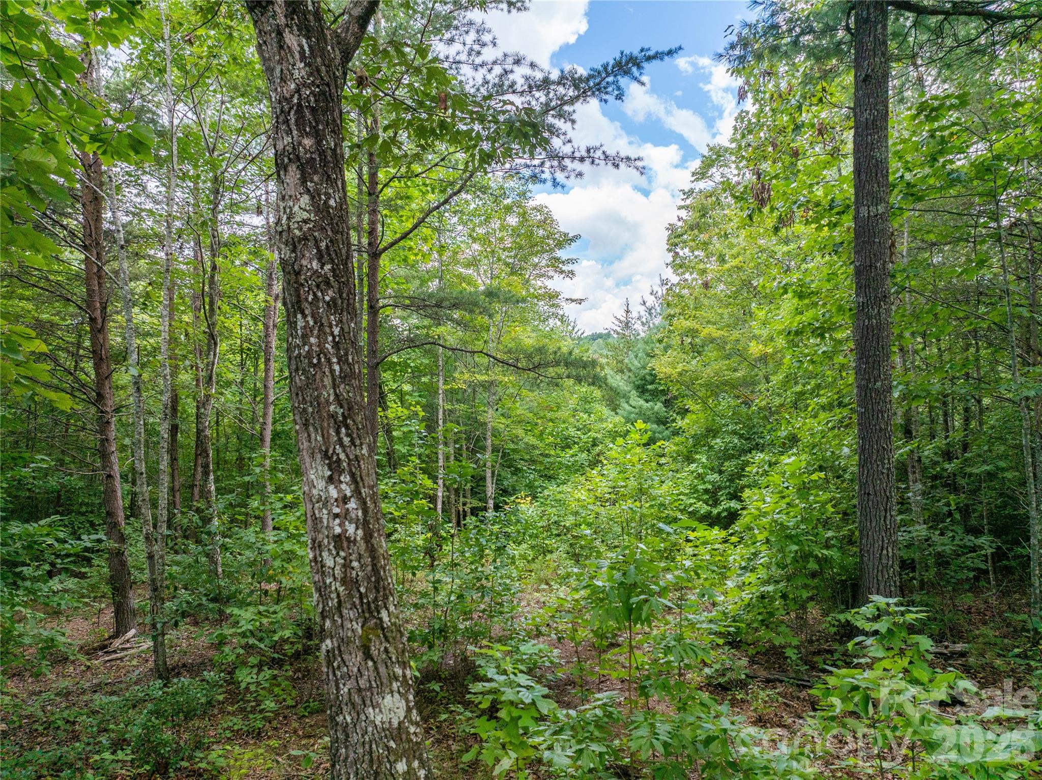 5.5 Acres Dogwood Way Lenoir NC 28645