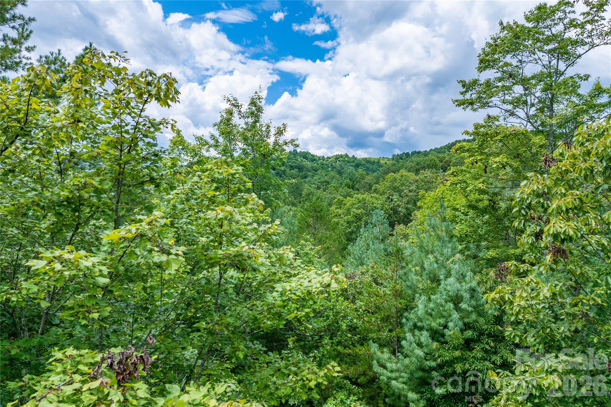 5.5 Acres Dogwood Way Lenoir NC 28645