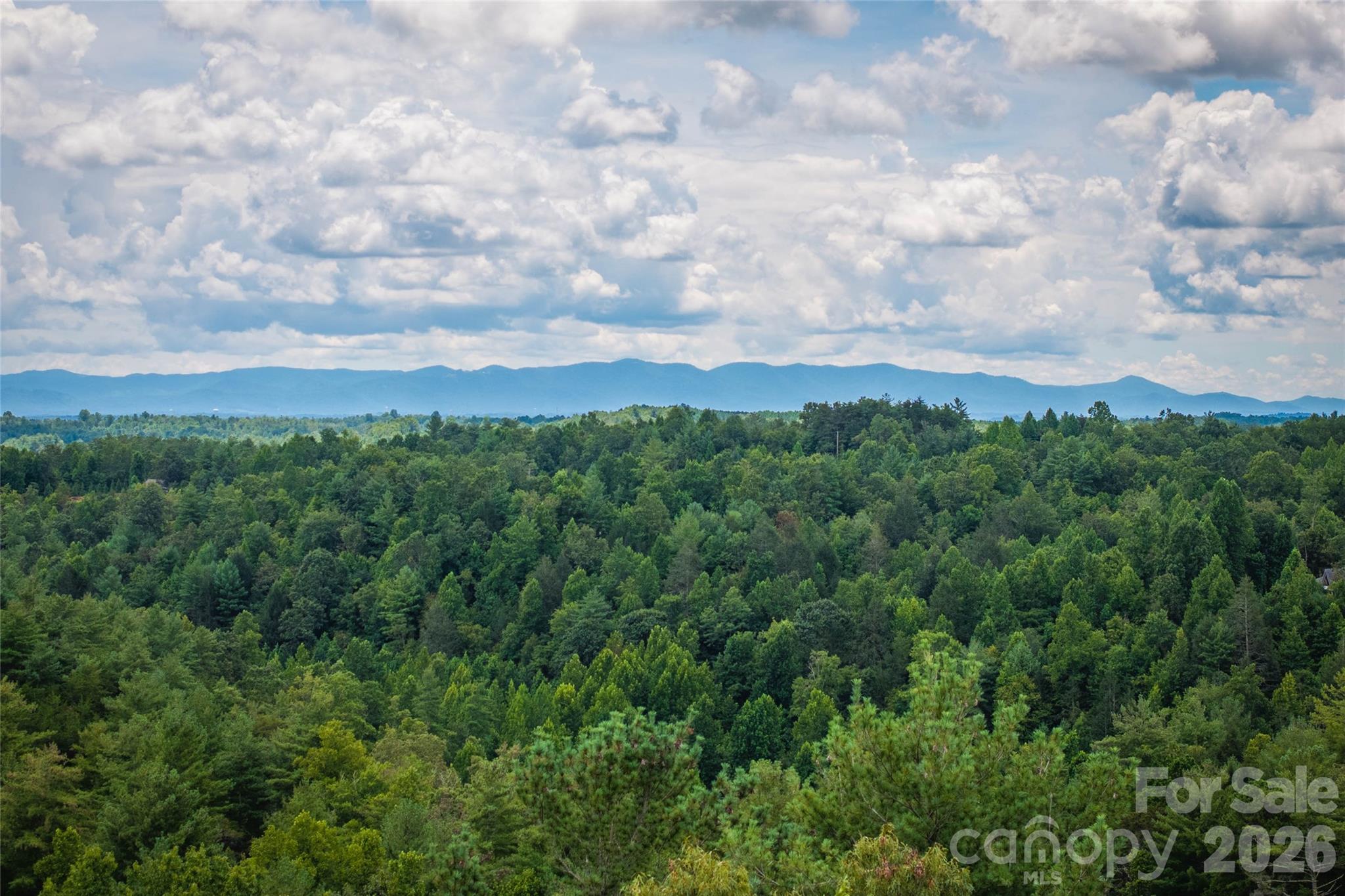 5.5 Acres Dogwood Way Lenoir NC 28645