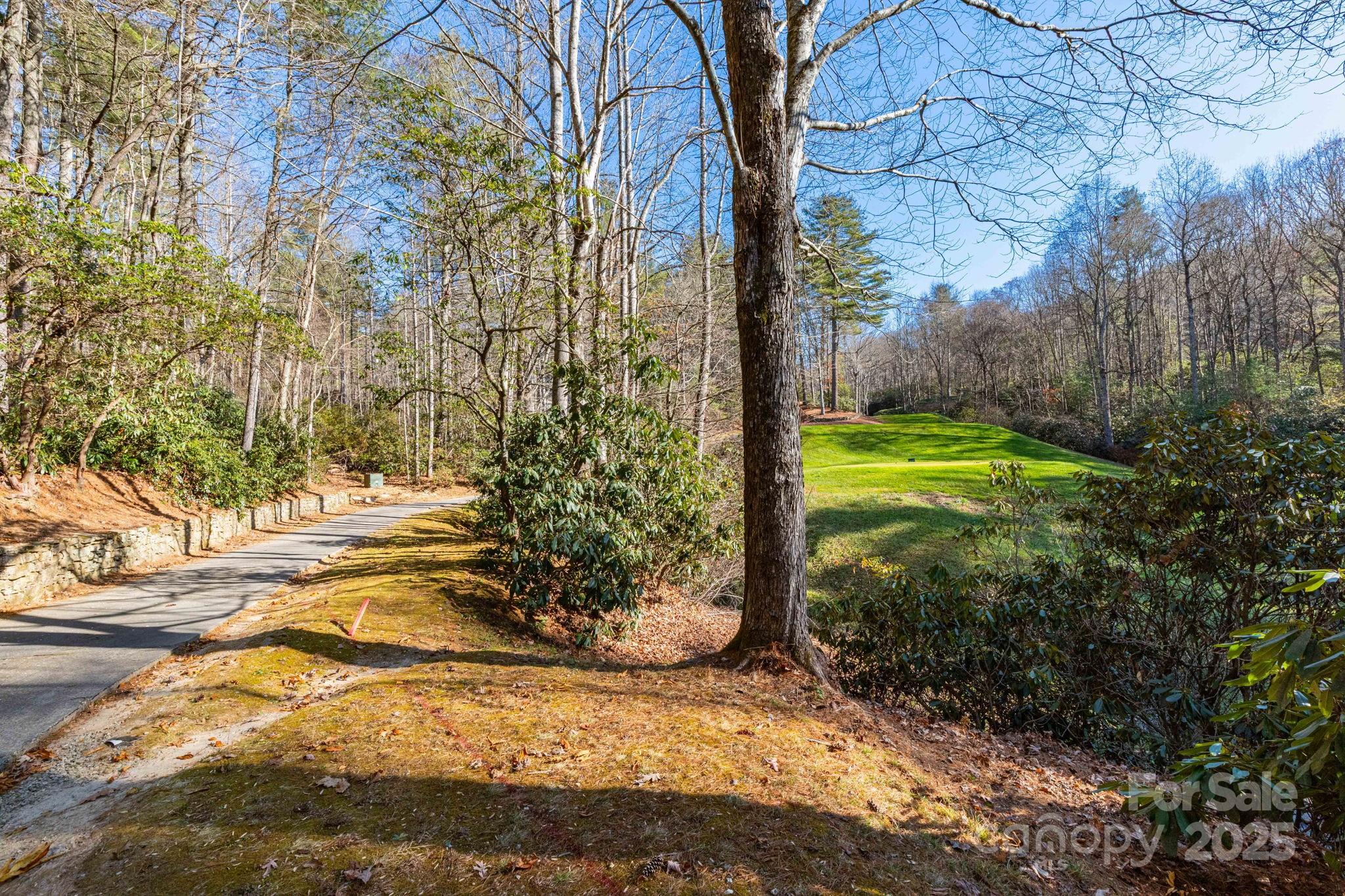 139 Chattooga Run Hendersonville NC 28739