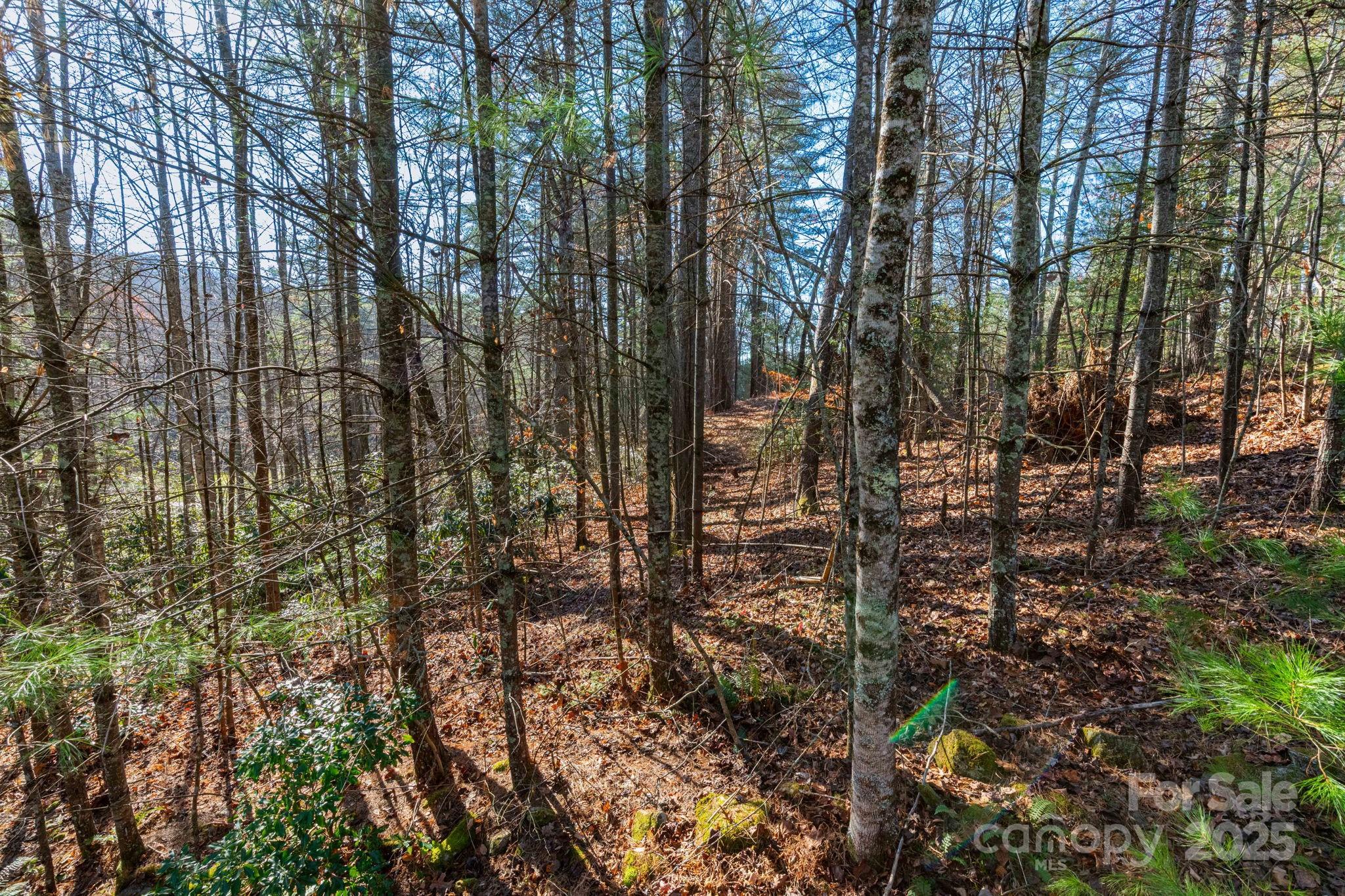 139 Chattooga Run Hendersonville NC 28739