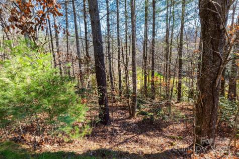 139 Chattooga Run Hendersonville NC 28739