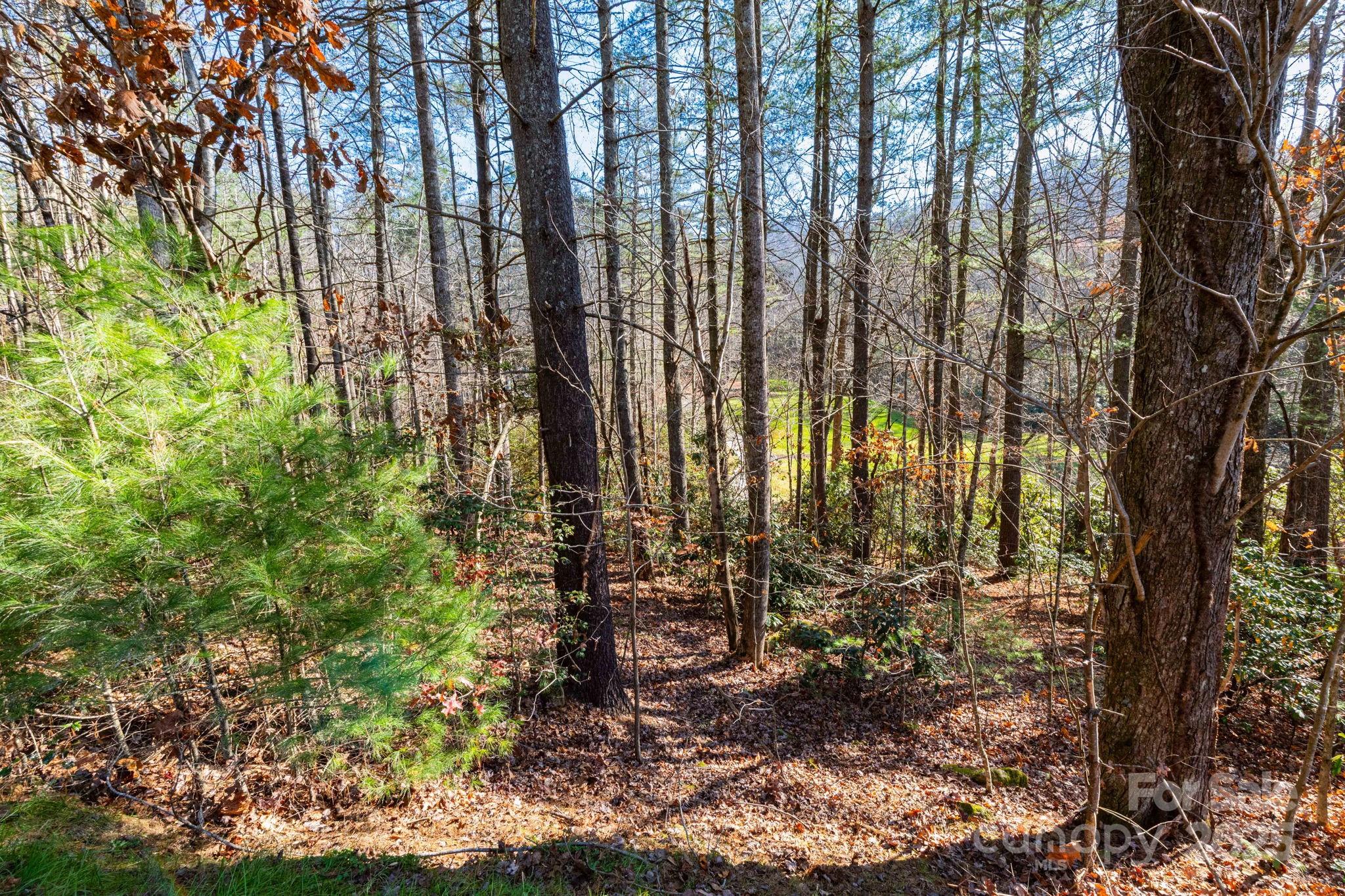 139 Chattooga Run Hendersonville NC 28739